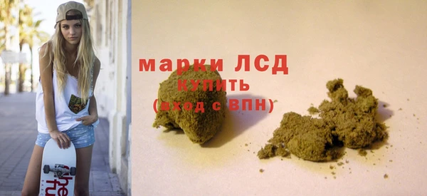 стаф Барнаул