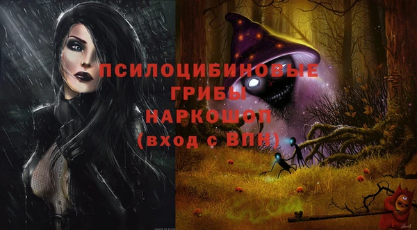 сатива Ижевск