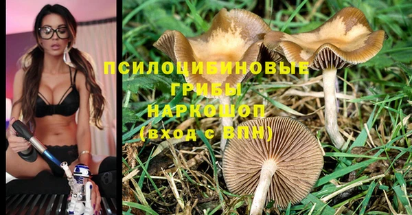 наркотики Лагань