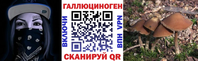 Купить закладки  Красный Сулин  Псилоцибиновые грибы мицелий 